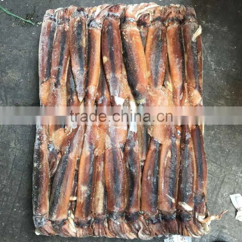 Frozen Seafood Illex Squid 100-150g