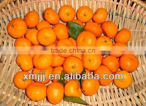 orange buyers