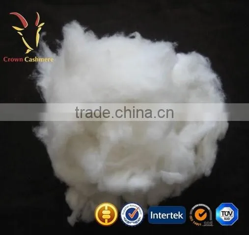 Pure Dehaired Raw Cashmere Wool Fiber