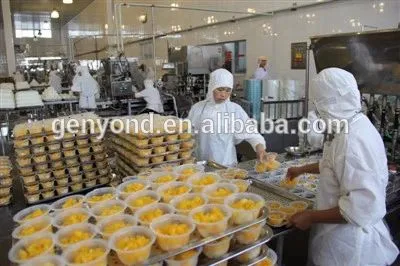 Industrial Canned Cherry apple Production Processing Full Automatic Line