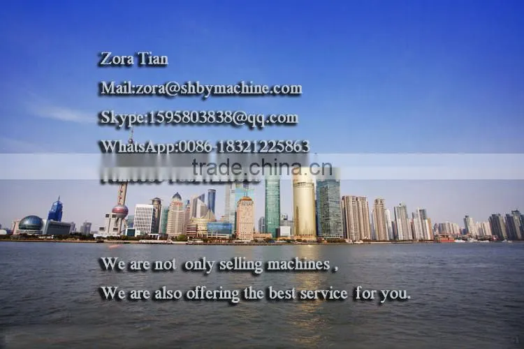 Shanghai Manufacturer with CE Automatic shampoo sachet packing machines,paste filling machine