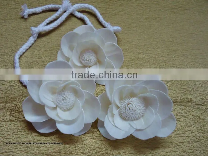 Sola diffuser flower