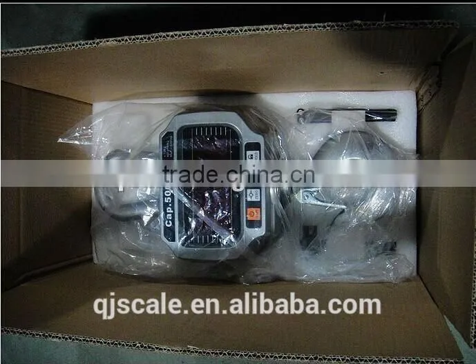 Smart type Electronic crane scale