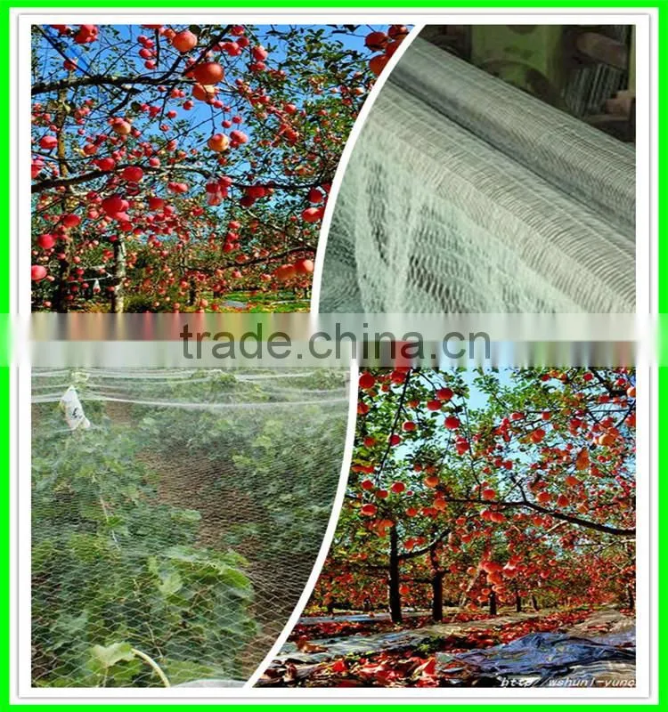 Anti hail systems/ Anti Hail Net / Hail protection nets for agriculture