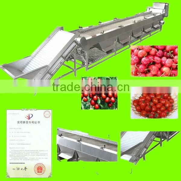 dates sorter/date grading machine/fruit grading machine/potato sorter