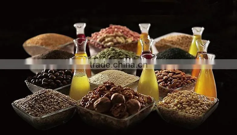 oil press machine with low price for pumpkin seed, cold press Moringa seed oil extracting machine