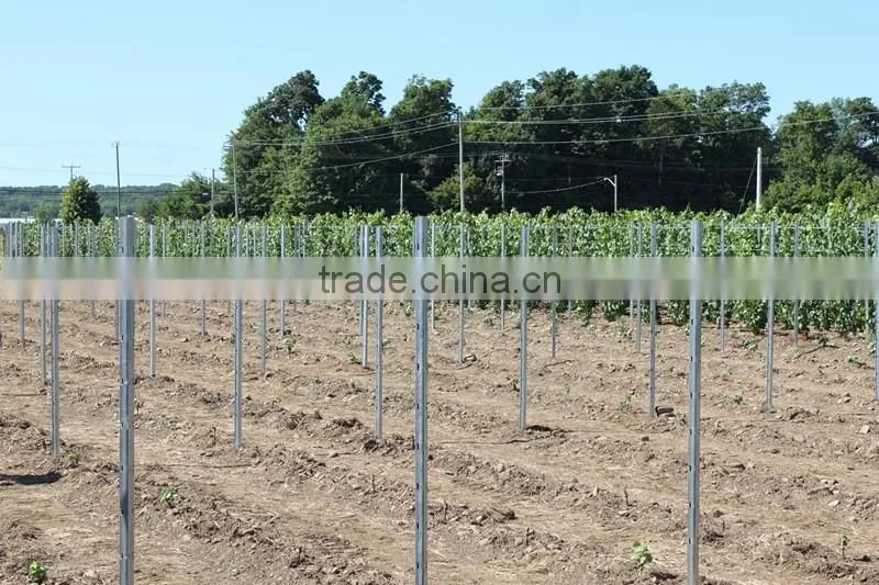2016 High quality low price of vineyard pole