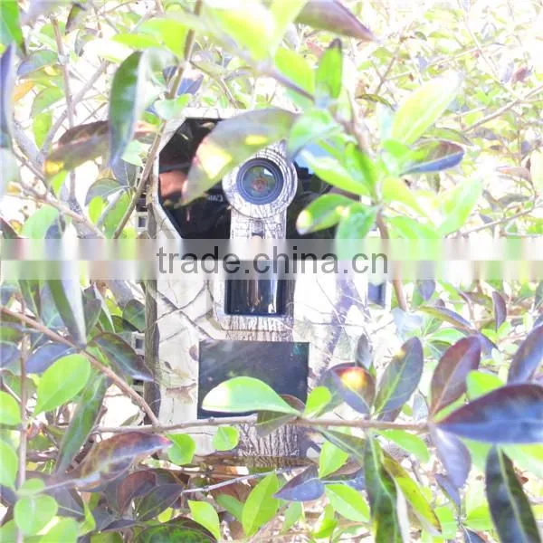 940NM IR LED 5.0MP CMOS Sensor Cheap Hidden Thermal Camera HD Hunting Camera