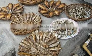 fruit dryer/vegetables dryer machine/dehydrated vegetables drying machine