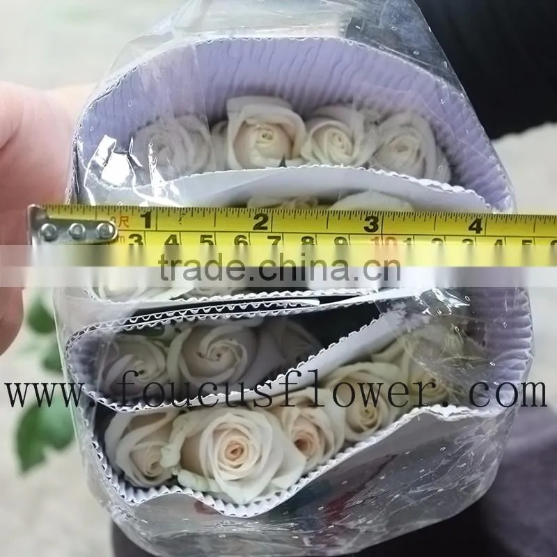 Alibaba China Hot Sale Rose Cut Vendela Fresh Roses Cut Flowers From China