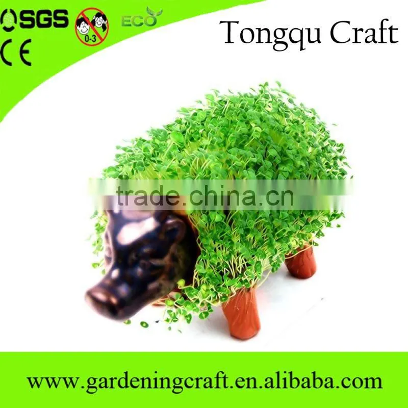 pormo gifts usb chia pet gifts for newly married couple wedding thank you gifts for guests