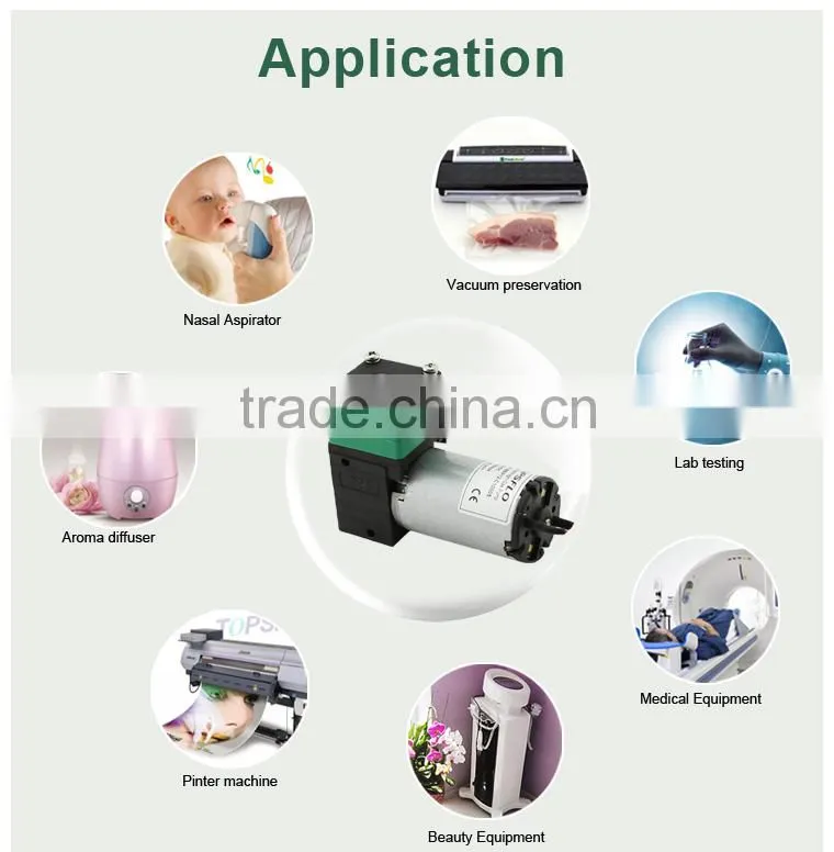 12v 24v dc mini silent diaphragm odor and mold-free ozone generator pump