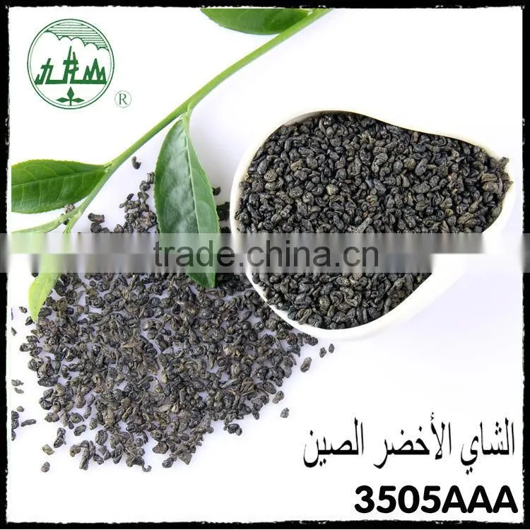 Great taste hot selling good reputation high quality Gunpowder Green Tea3505Aaa
