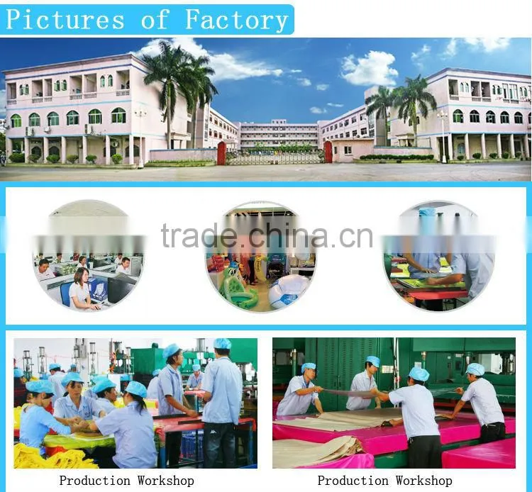 Inflatable PVC seal rider Toy ,inflatable pvc big toy