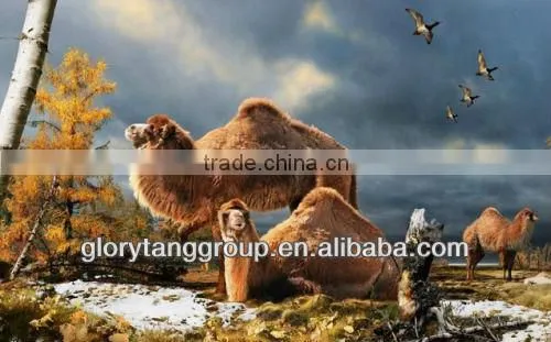 100% pure camel wool from Inner Xingjiang