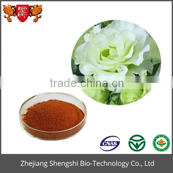 Pure natural Balloon Flower extract powder