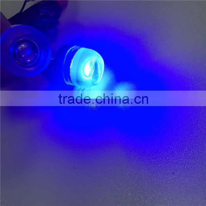 Jinxin License Plate Bolt Lights Black- Universal Truck and All Motorcycles
