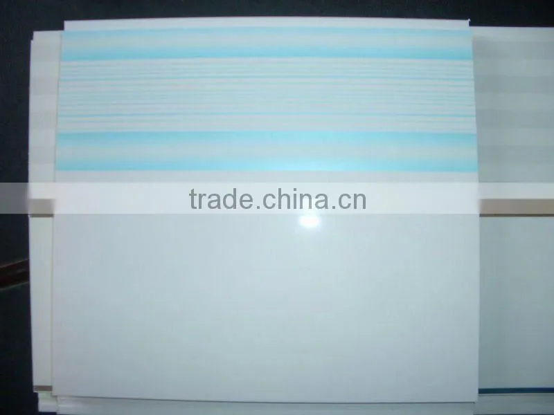 YBW 2500 / 2600 Two-Color Printing and UV Coating Machine