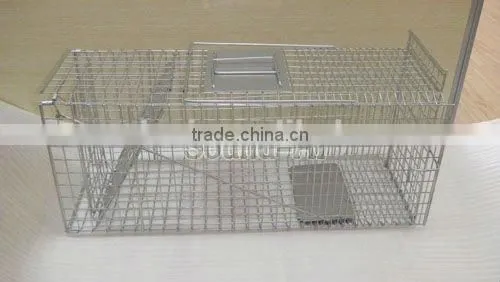 Collapsible One-door Live Animal Cage Trap For Raccon,Stray Cat,Groundhog, Opossum,Armadillos