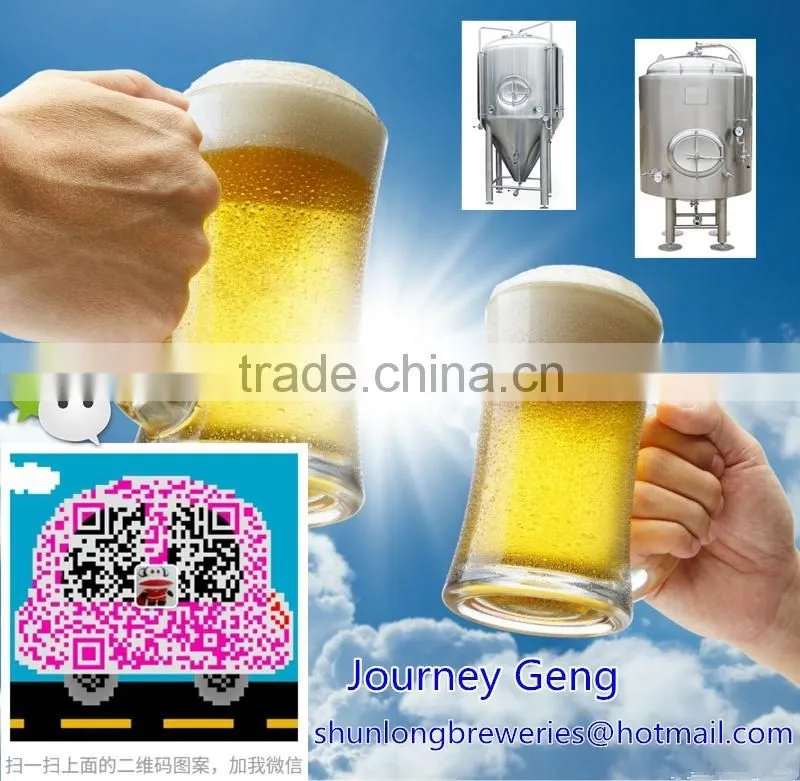 high quality beer brewery equipment for home with electric heating