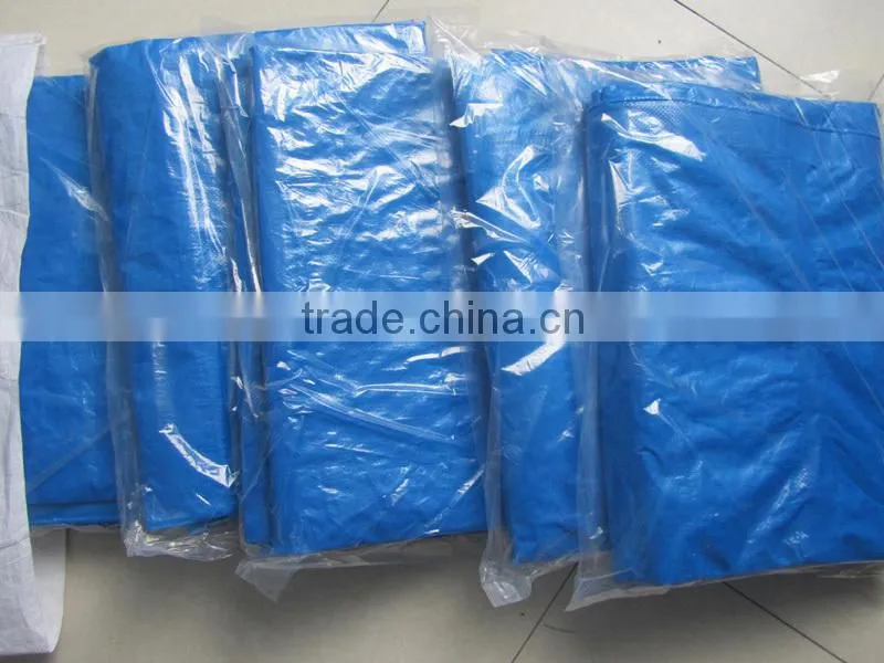 clear green pe tarpaulin agricultural ground cover