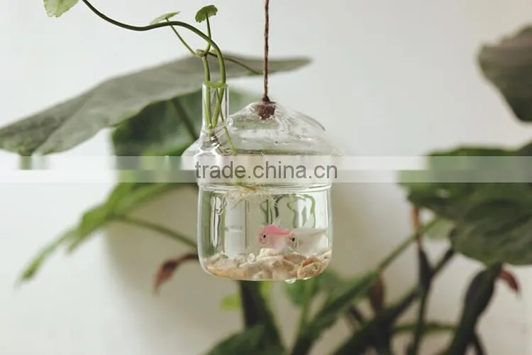 wholesale mushroom shaped glass vase for plant or small fish