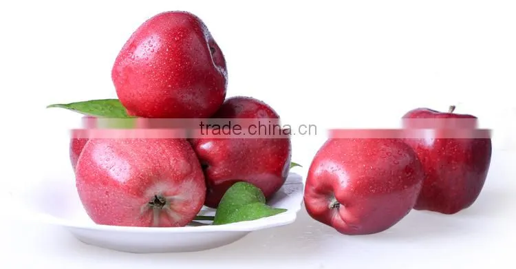 2016 New crop New season Huaniu apple Fresh apple China Gansu Tianshui Huaniu apple
