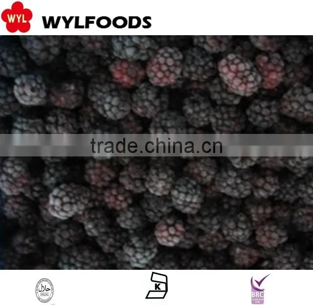 hot selling!!IQF blackberry from China new crop good quality