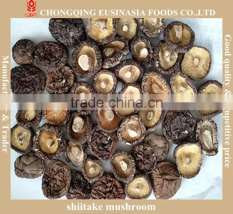 Dried Shiitake Slice