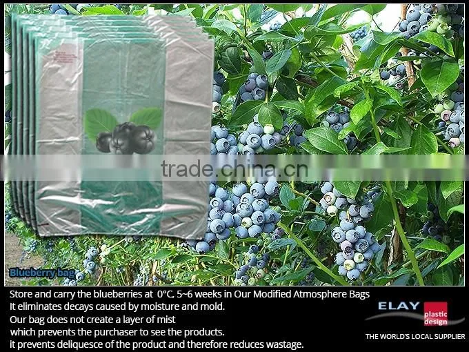 Dragon fruit bag