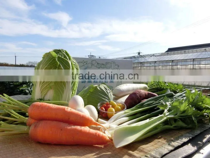 Reliable vegetable fermented enzyme supplement for beauty and health