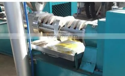 Special recommendable 6YL-130 150 cold oil press machine with cheap price