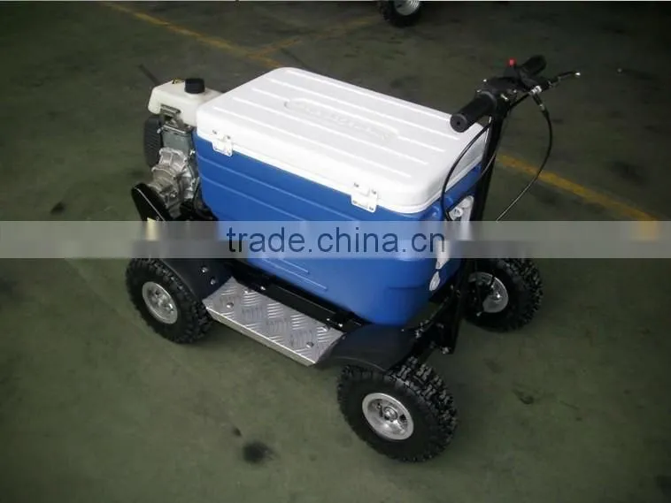 Hot sale 48L 43cc EPA gas Cooler Scooter/camping scooter (TKS-S43)