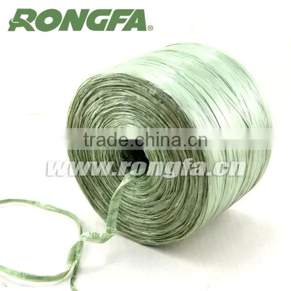 100g 200g 250g Fresh PP Plastic Raffia