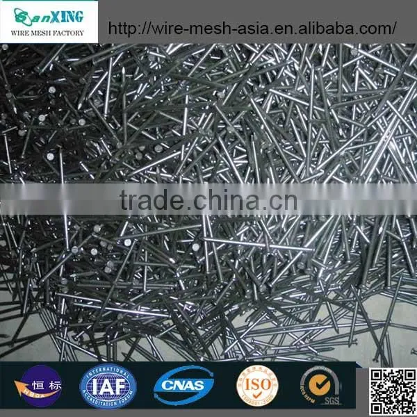 Common Nail price of Iron Nail Factory