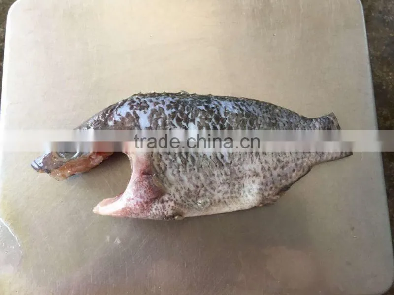Frozen Tilapia fillet