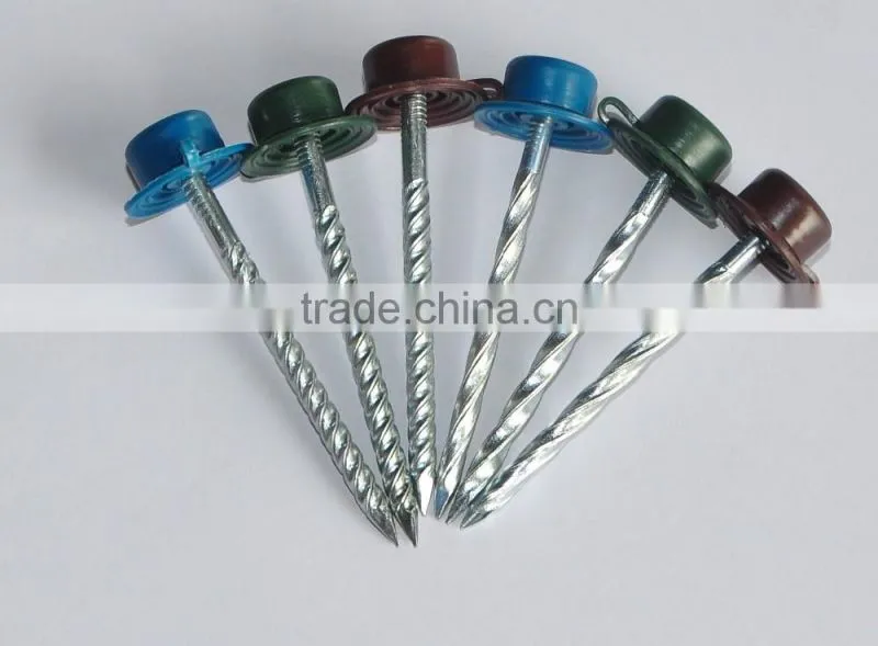 Umbrella Head Galvanized Roofing Nails with Rubber Washer