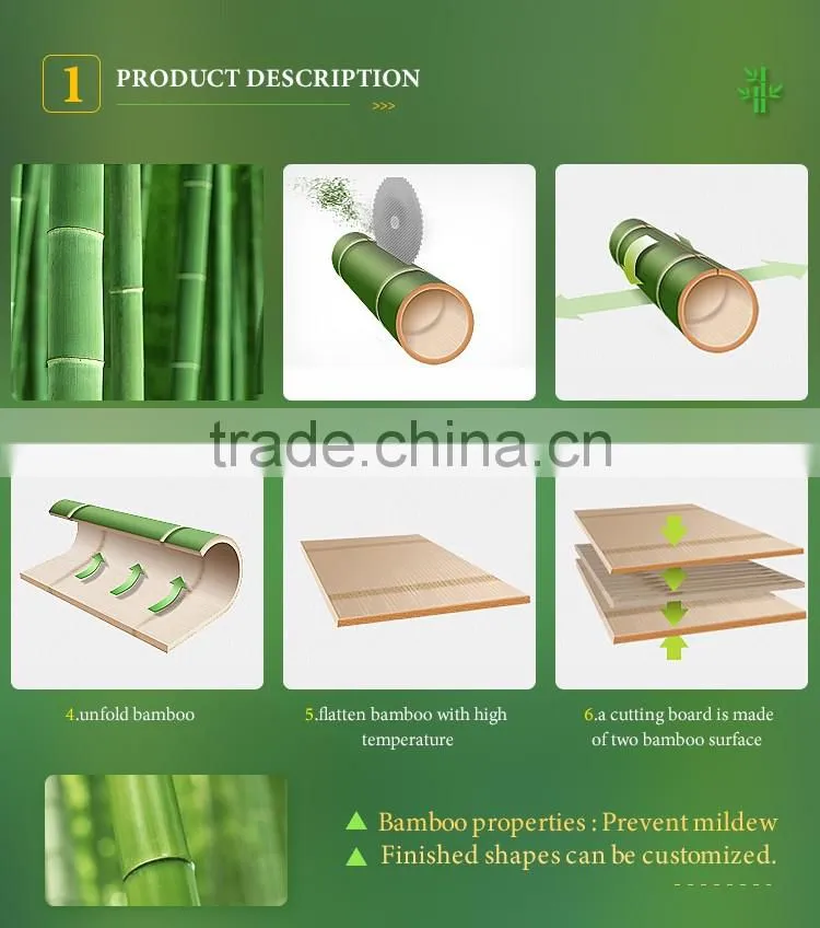 Latest design superior quality baby bamboo bowl
