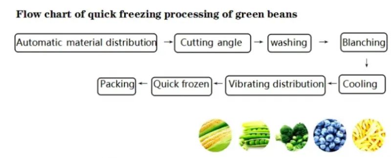 Shanghai IQF Quick Freeze System for Fresh Fruits & Vegetables Instant Frozen Vegetable Machine