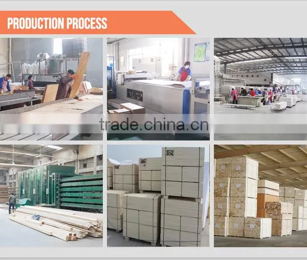 big size birch faced plywood for Australia market