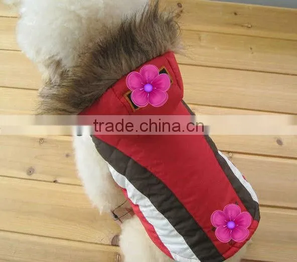 fashion design pet dog clothes