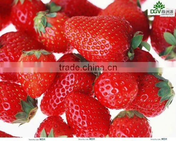 frozen strawberry