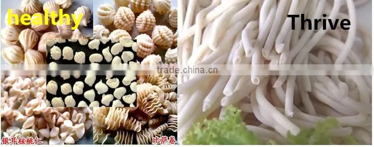 Professional electric pasta maker,cheap pasta making equipment