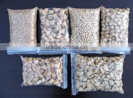 Full automatic soya bean protein extruder