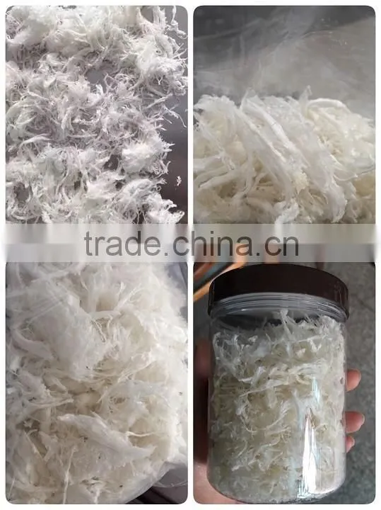 bird's nest freeze dryer SJIA-10F