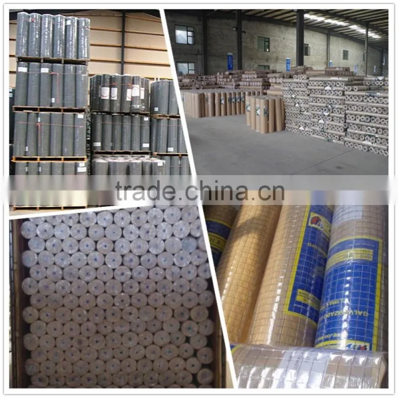 galvanized welded wire mesh roll