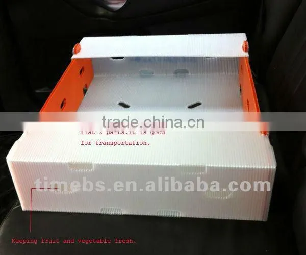 Nice corflute plastic fruit storage box