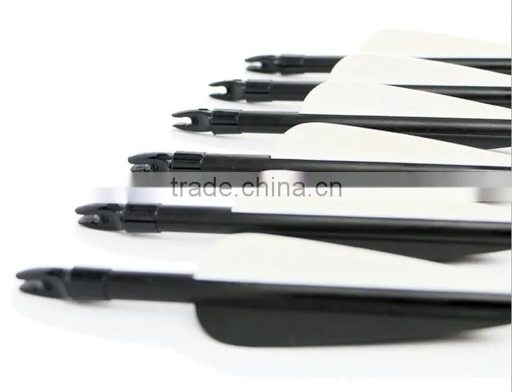Archery 31 Inches Steel Point Glass Fiber Arrow