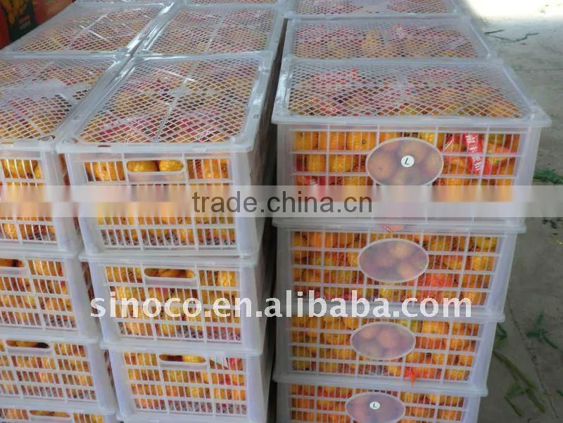Baby Mandarin in China