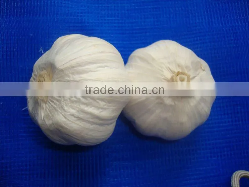 chinese pure white garlic for EU